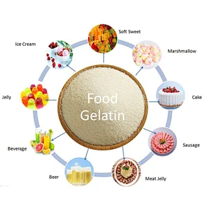 Halal Good Quality food additive bovine edible gelatin from Gelatin Manufacturer